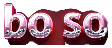 bo so logo